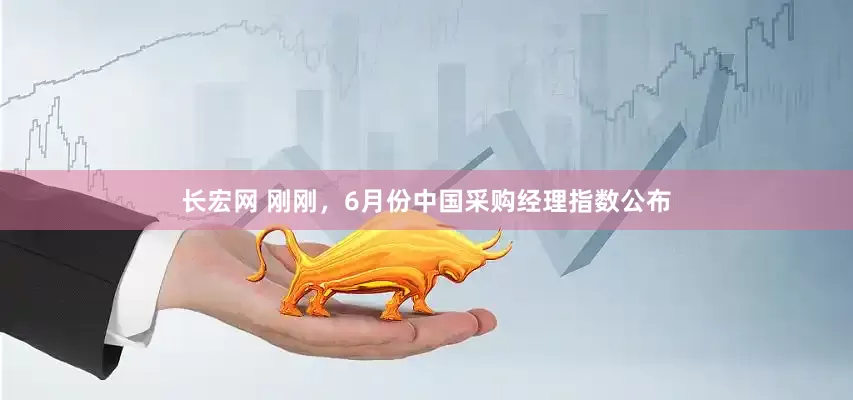 长宏网 刚刚，6月份中国采购经理指数公布
