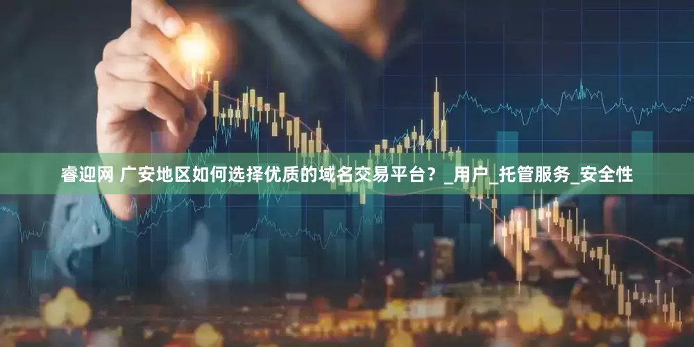 睿迎网 广安地区如何选择优质的域名交易平台？_用户_托管服务_安全性