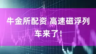 牛金所配资 高速磁浮列车来了！