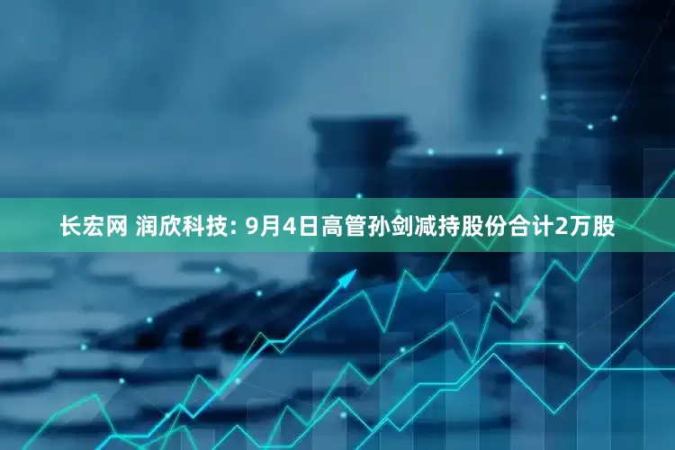 长宏网 润欣科技: 9月4日高管孙剑减持股份合计2万股