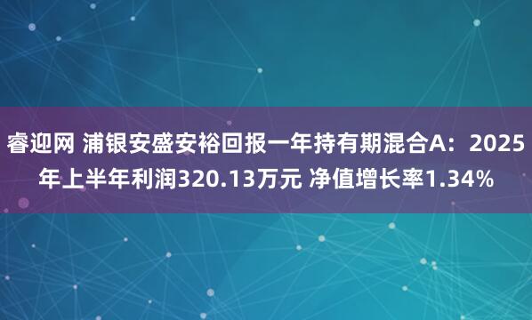 睿迎网 浦银安盛安裕回报一年持有期混合A：2025年上半年利润320.13万元 净值增长率1.34%