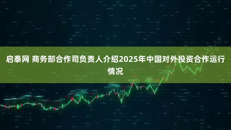 启泰网 商务部合作司负责人介绍2025年中国对外投资合作运行情况