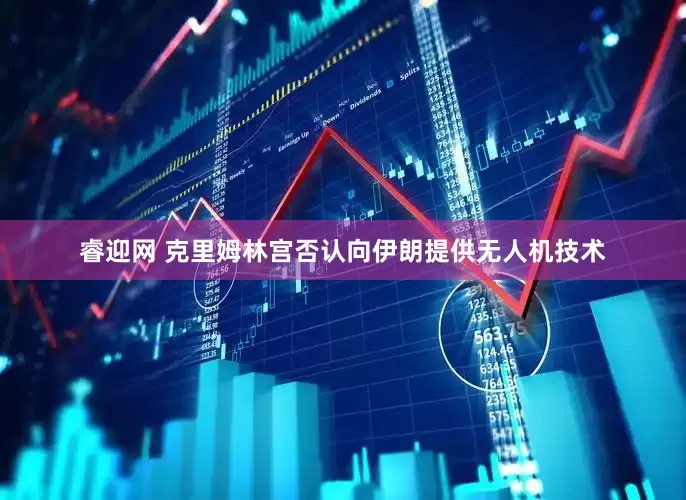 睿迎网 克里姆林宫否认向伊朗提供无人机技术